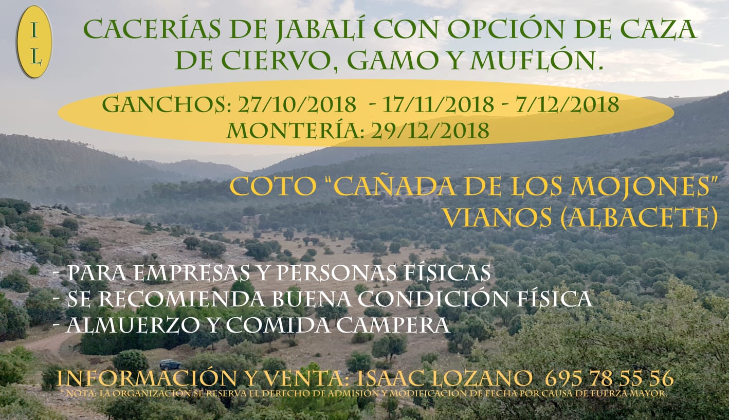 Cacerías de jabalí en Vianos (Albacete) con opción a ciervo, gamo y muflón 2018-2019